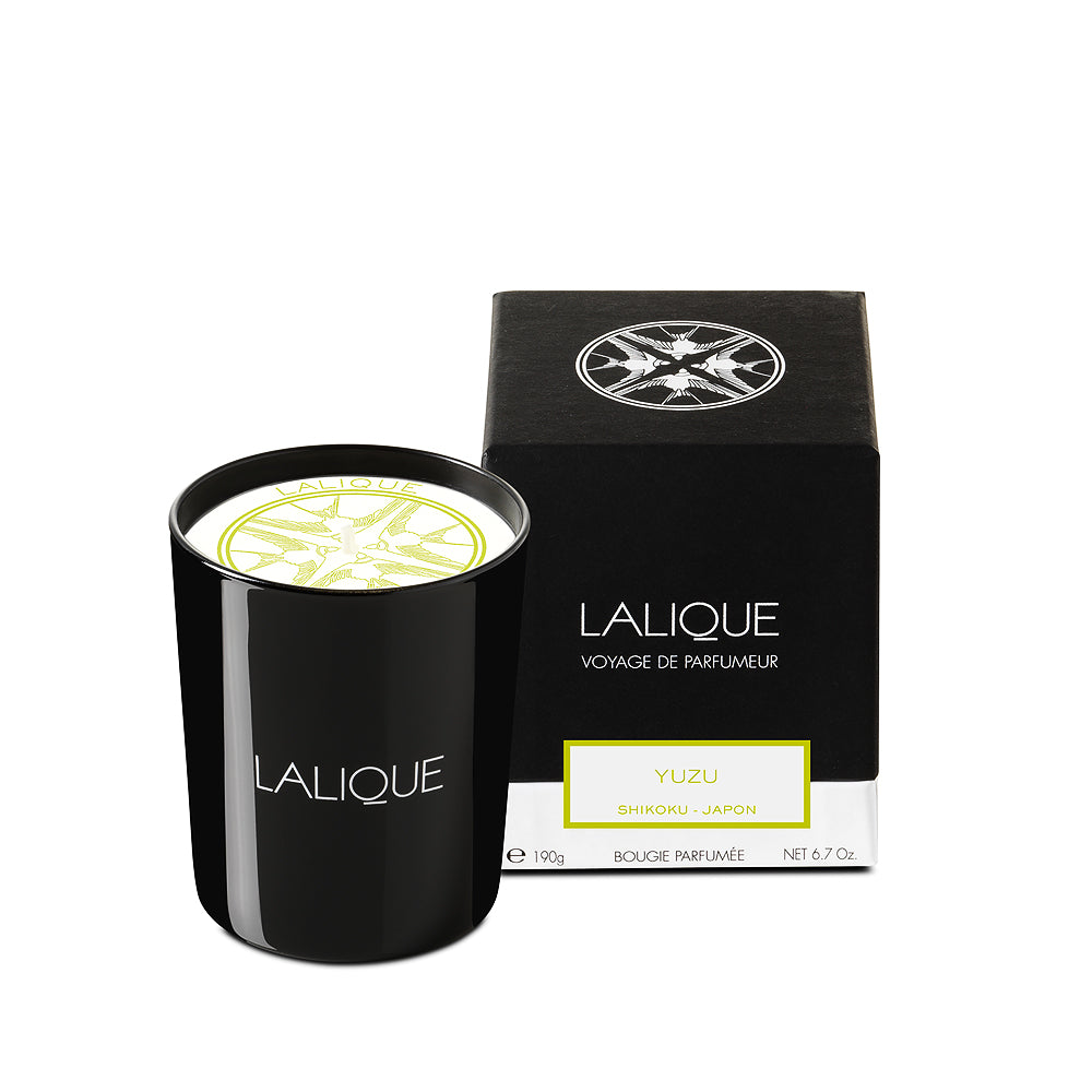 ラリックLALIQUE キャンドル Yuzu, Shikoku - Japan, Scented candle – Lalique North America