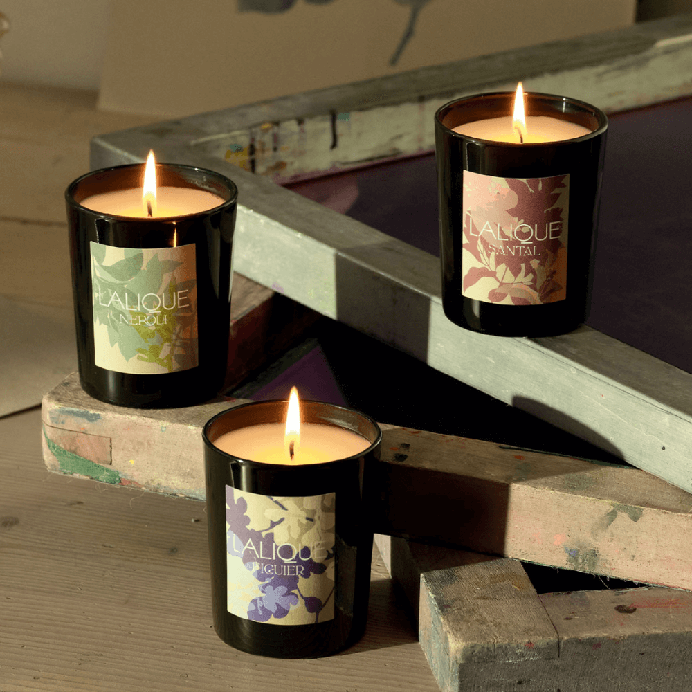 Figuier Amalfi - Italie Bougie Parfumée Édition 2025