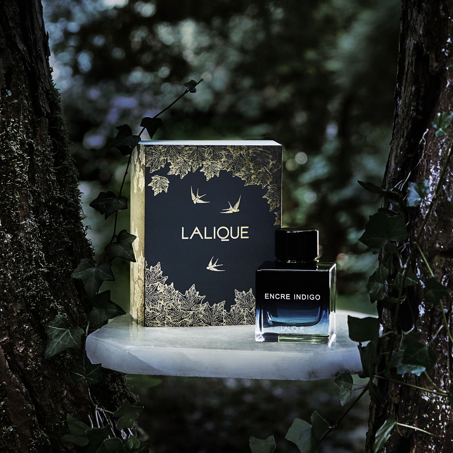 Encre Indigo Coffret Cadeau