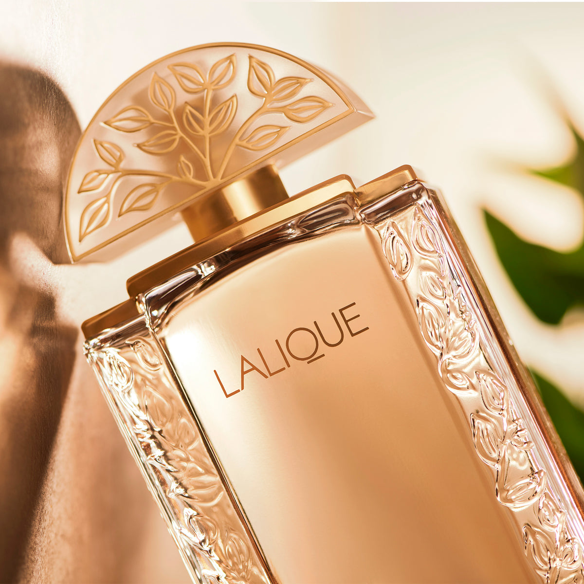 Lalique de Lalique Eau de Parfum