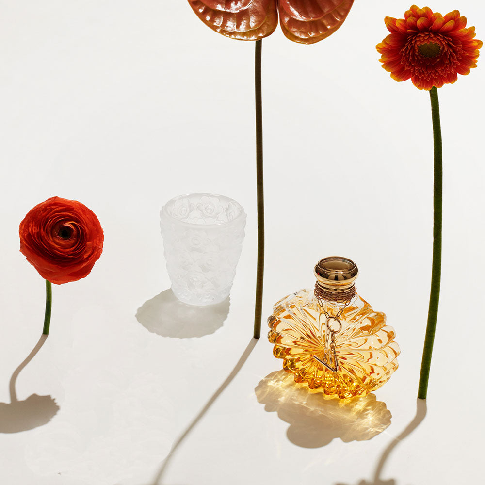 Anemones votive – Lalique North America