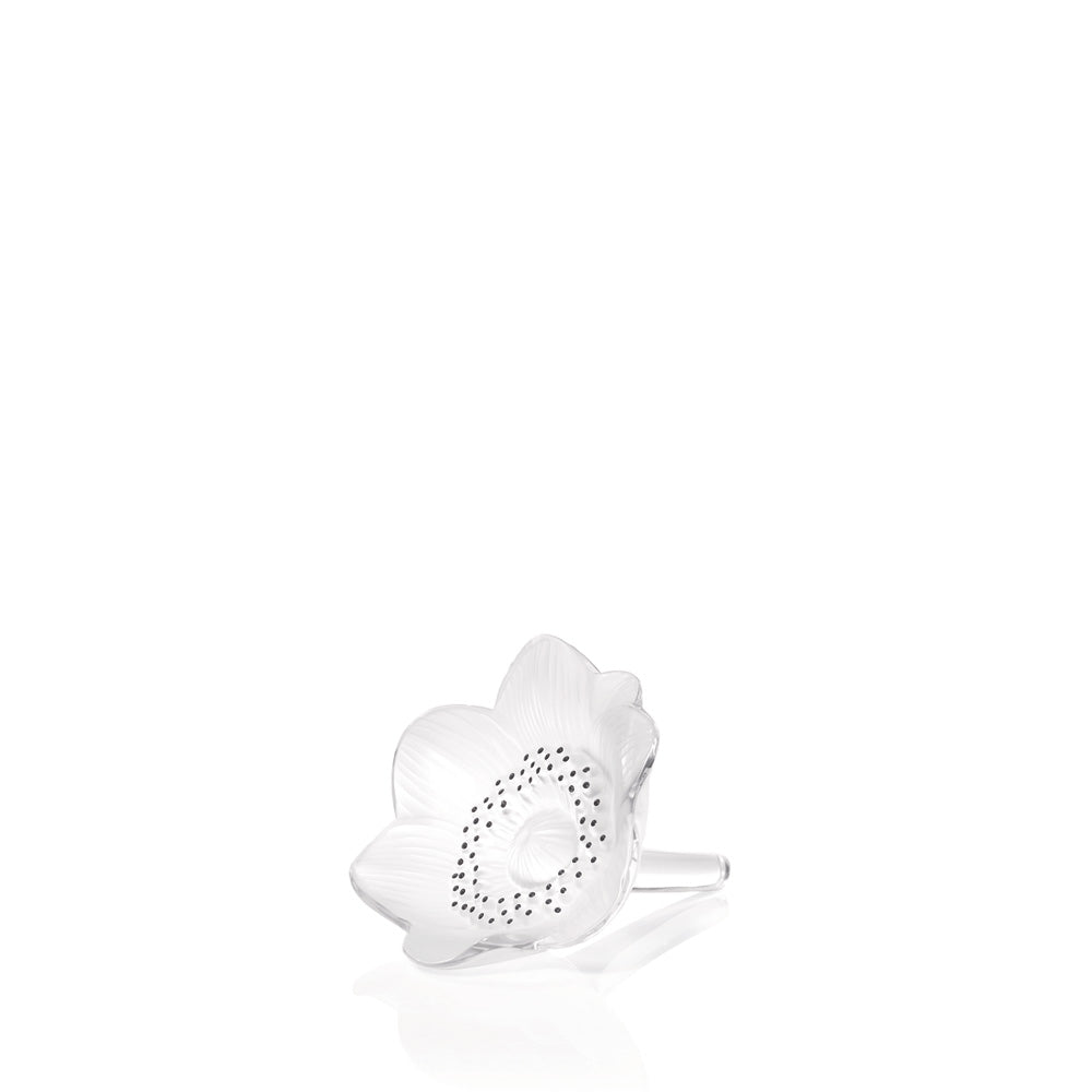1161400-anemone-sculpture.jpg