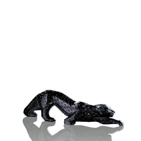 1167100-zeila-panther-