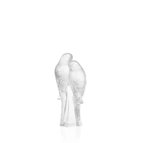 1211900-2-parakeets-