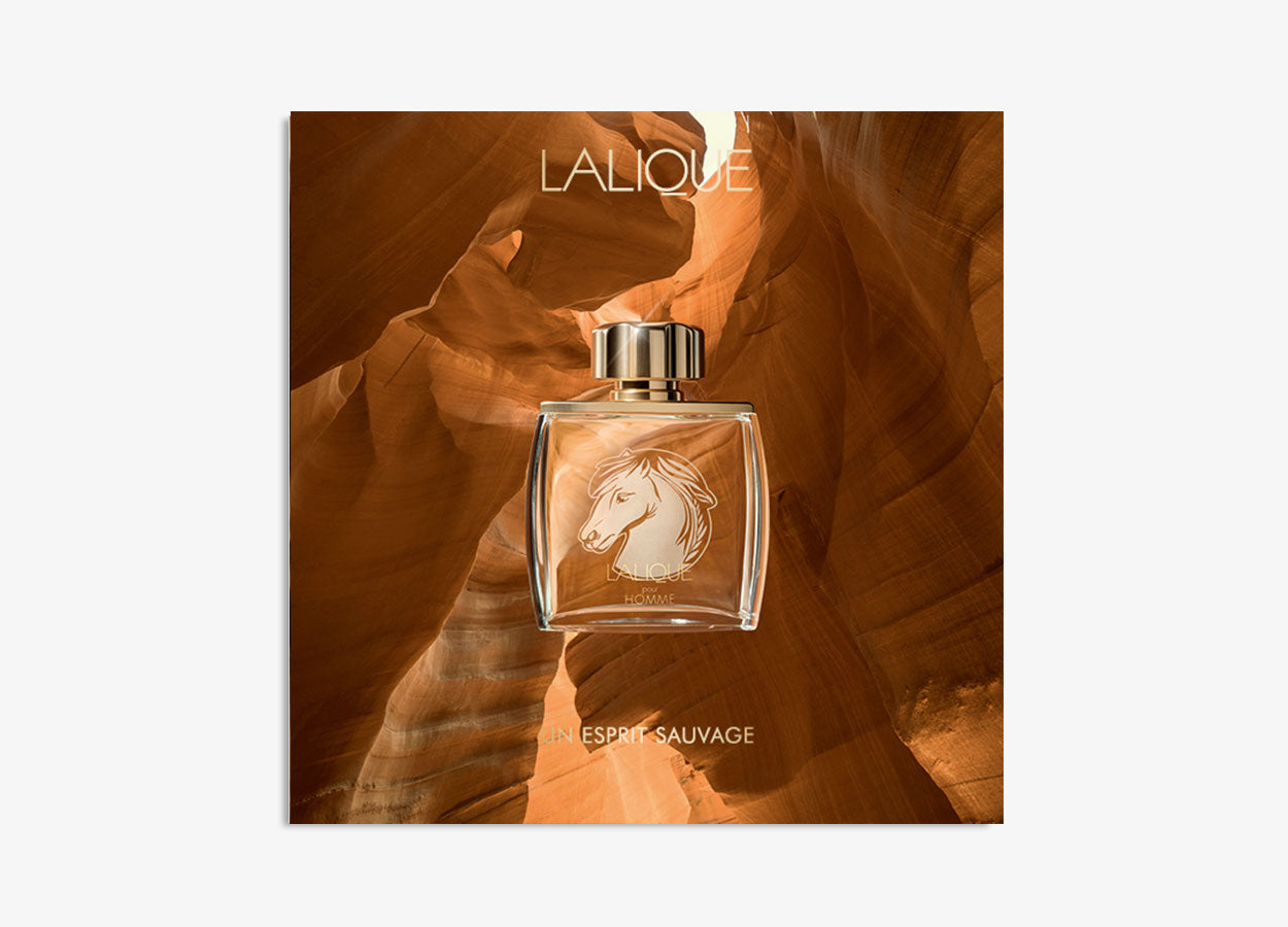 Lalique Pour Homme Equus, Eau de Parfum – Lalique North America