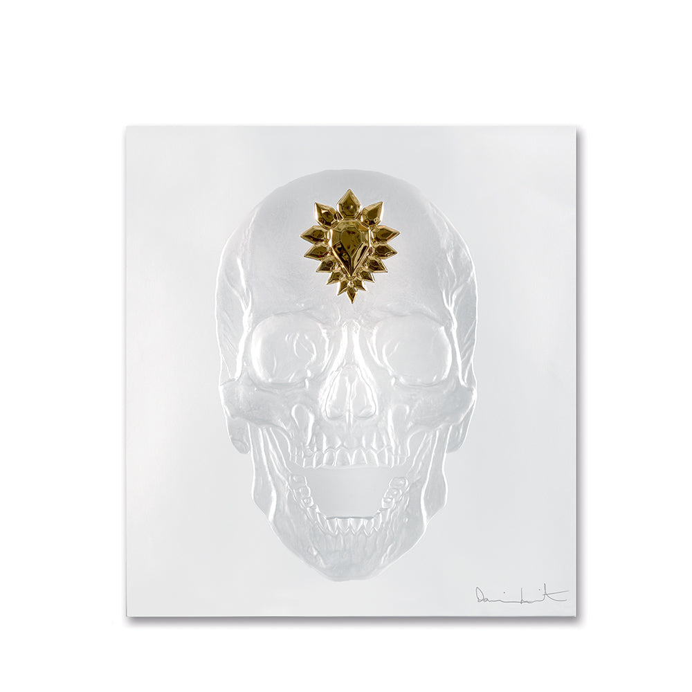 たか様専用出品 Levi´s Damien Hirst 3rd
