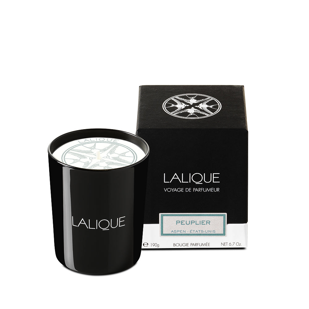 Candles – Lalique North America