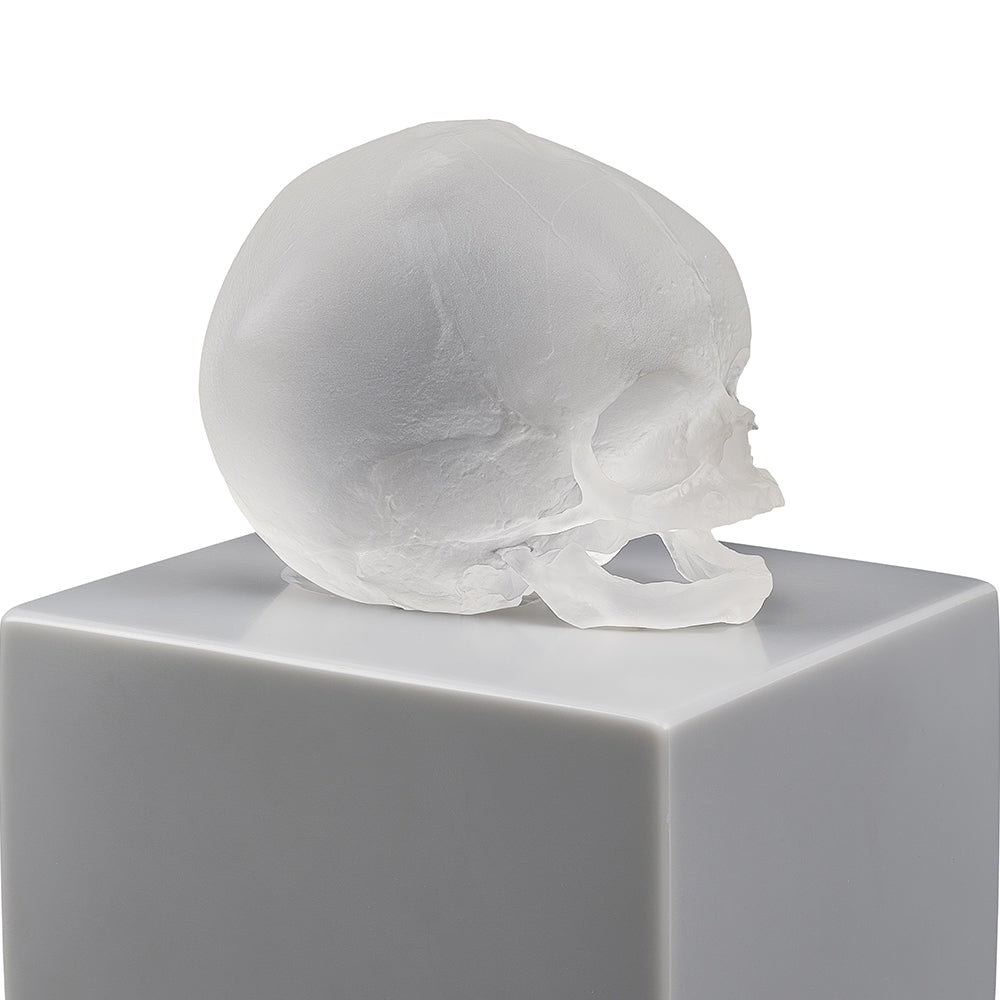 Eternal Memory, Damien Hirst & Lalique, 2017