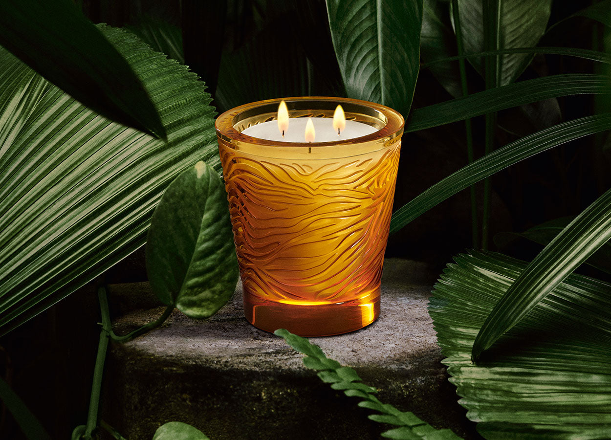 Jungle, Limited Edition Crystal Scented Candle – Lalique North America