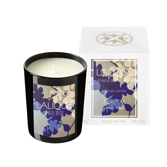 Fig Tree, Amalfi - Italy, Scented Candle, 2025 Edition