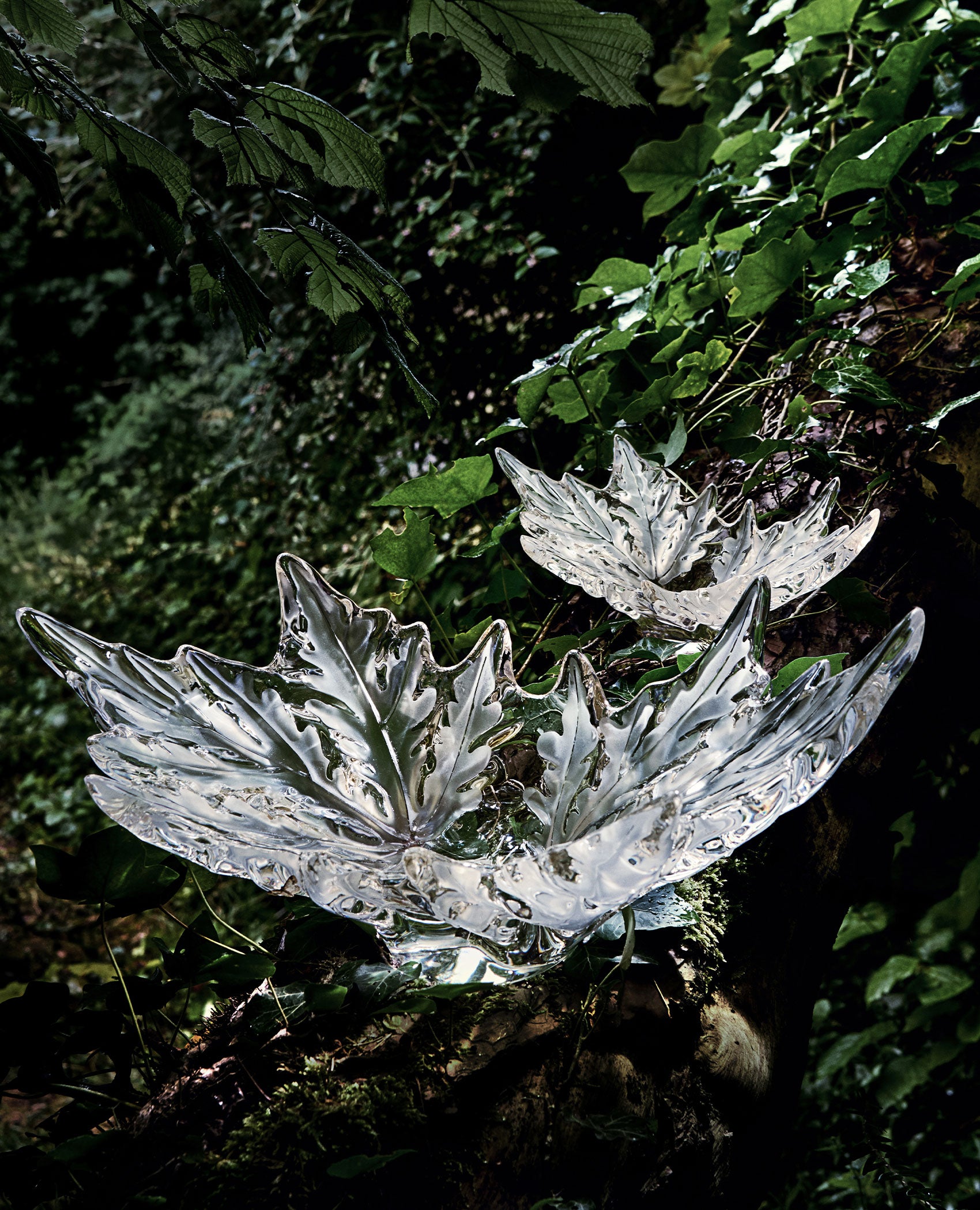 Iconic decorative objects – Lalique North America