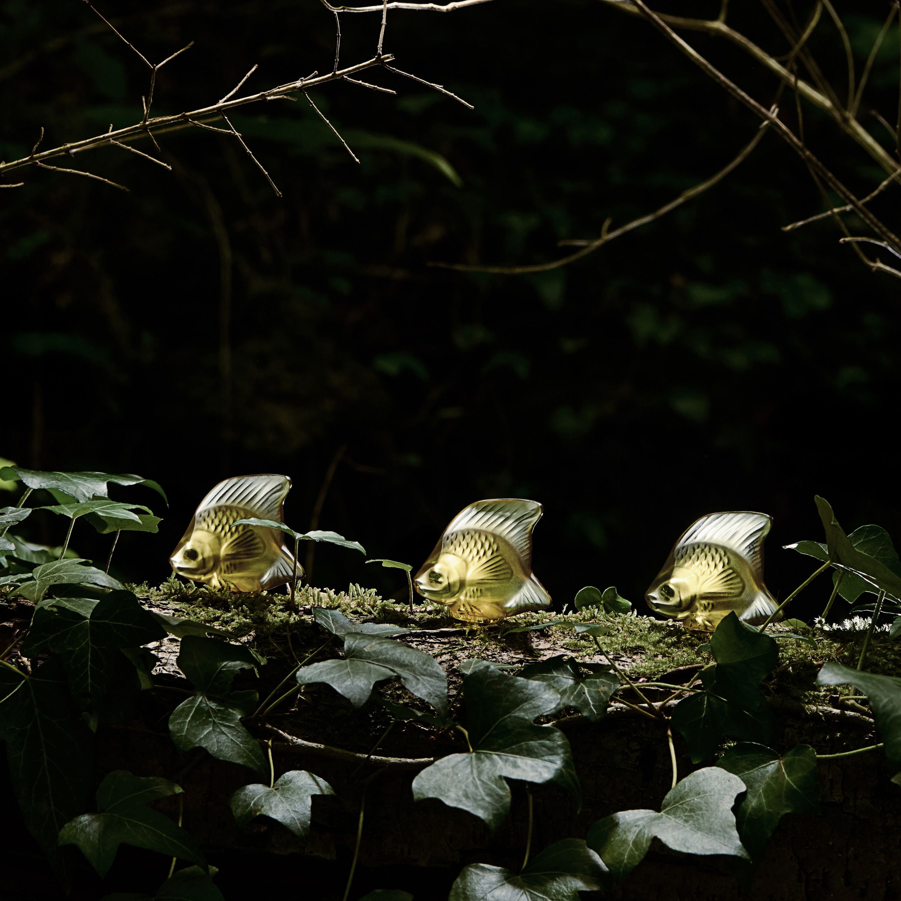 Fish sculpture – Lalique North America