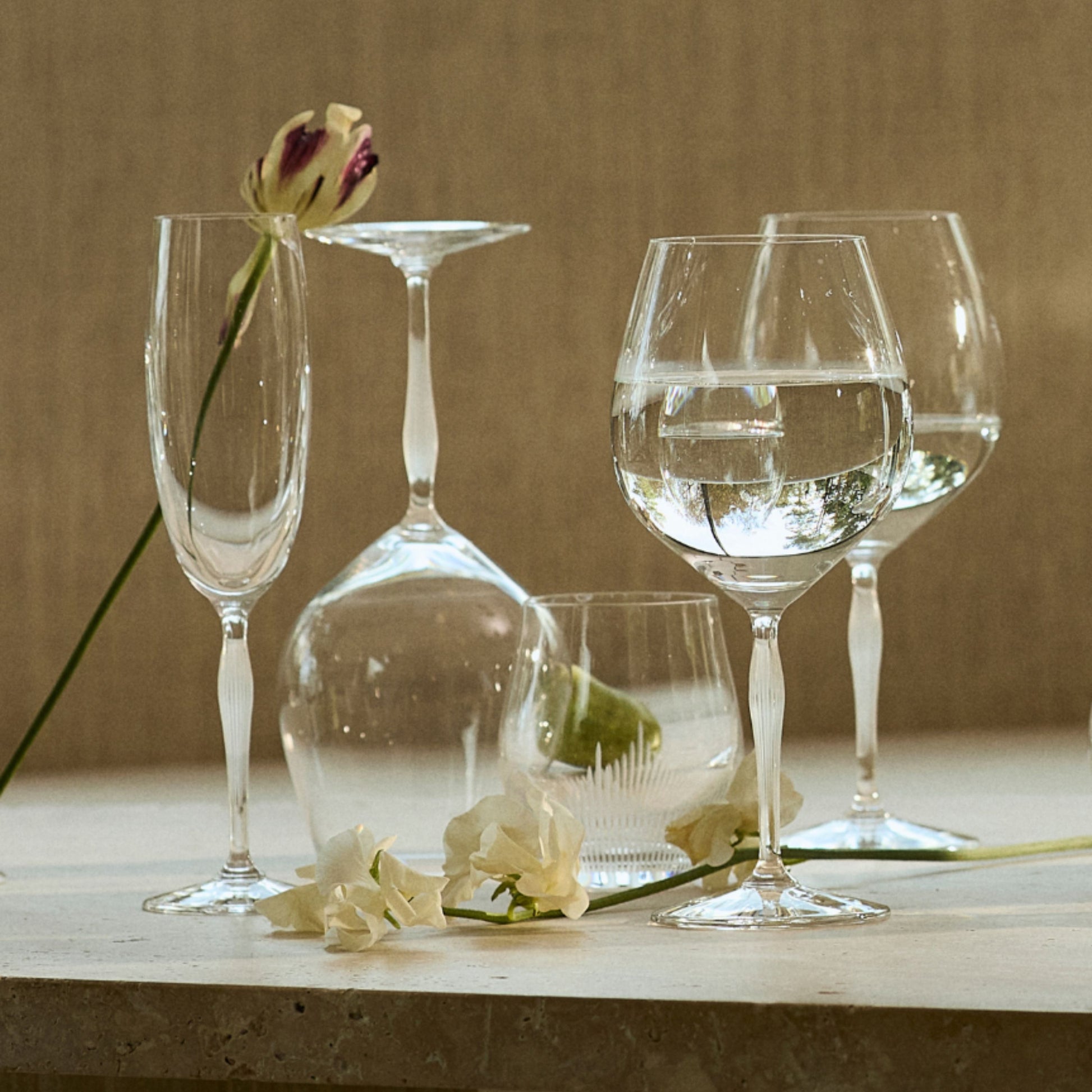 A set of clear glass wine and tableware glasses arranged on a light stone surface against a warm beige wall, with white flowers placed around them.