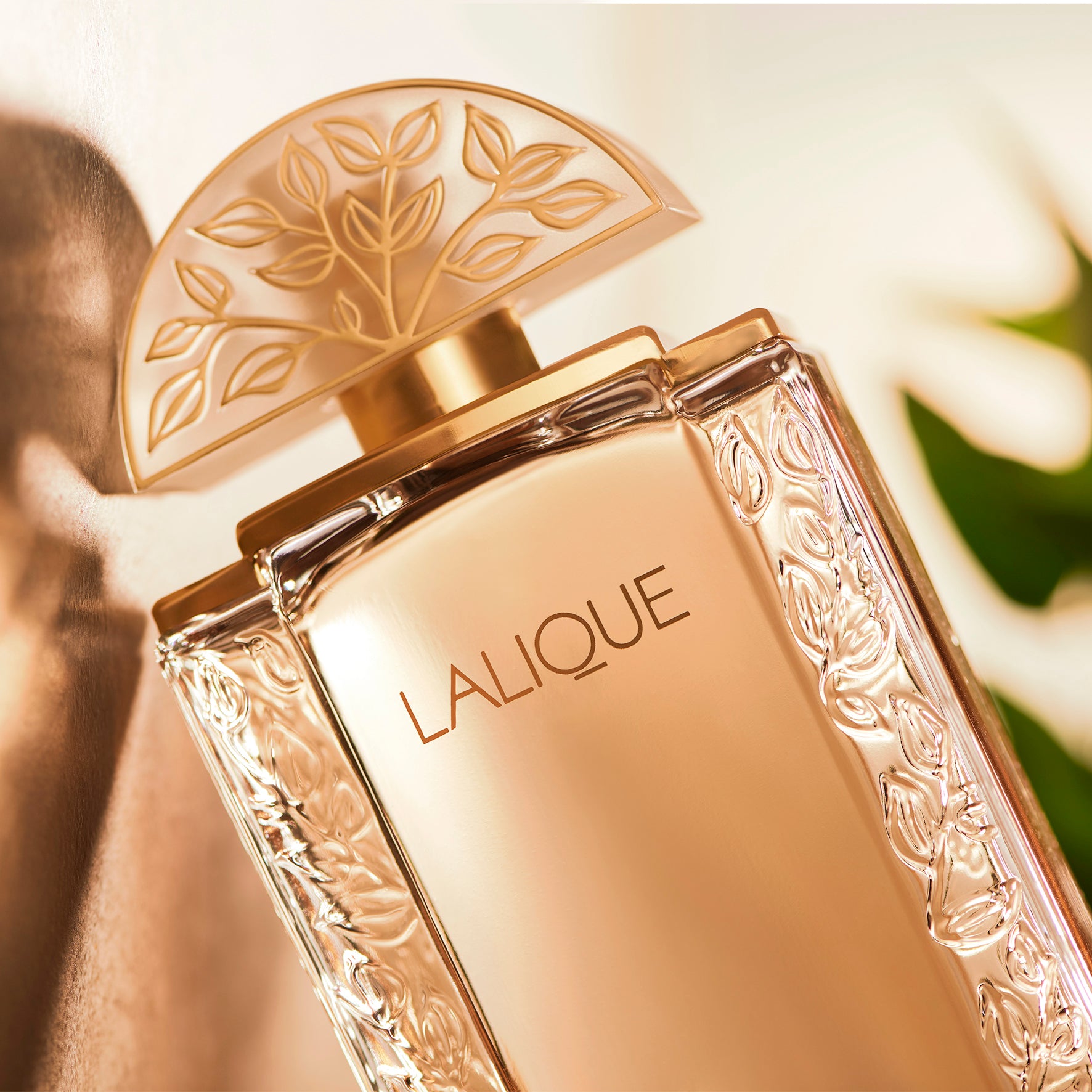 Lalique de Lalique, Eau de Parfum – Lalique North America
