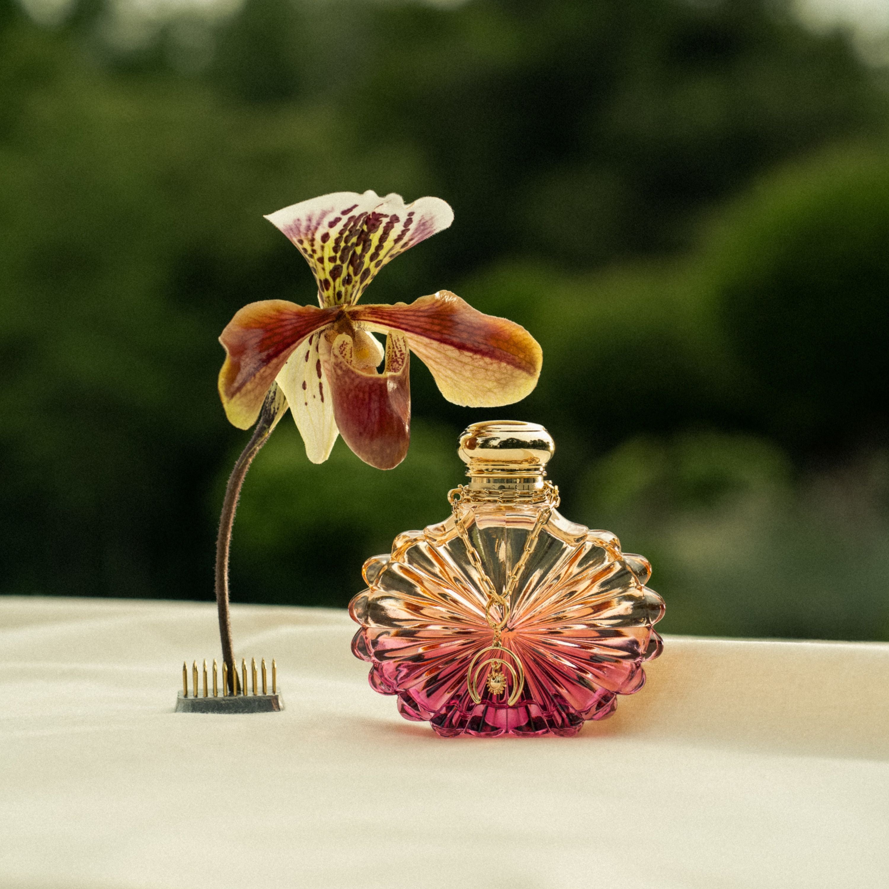 香水(女性用) LALIQUE SOLEIL EAU DE PARFUM 30ml lalique-eau-de-parfum-femme-