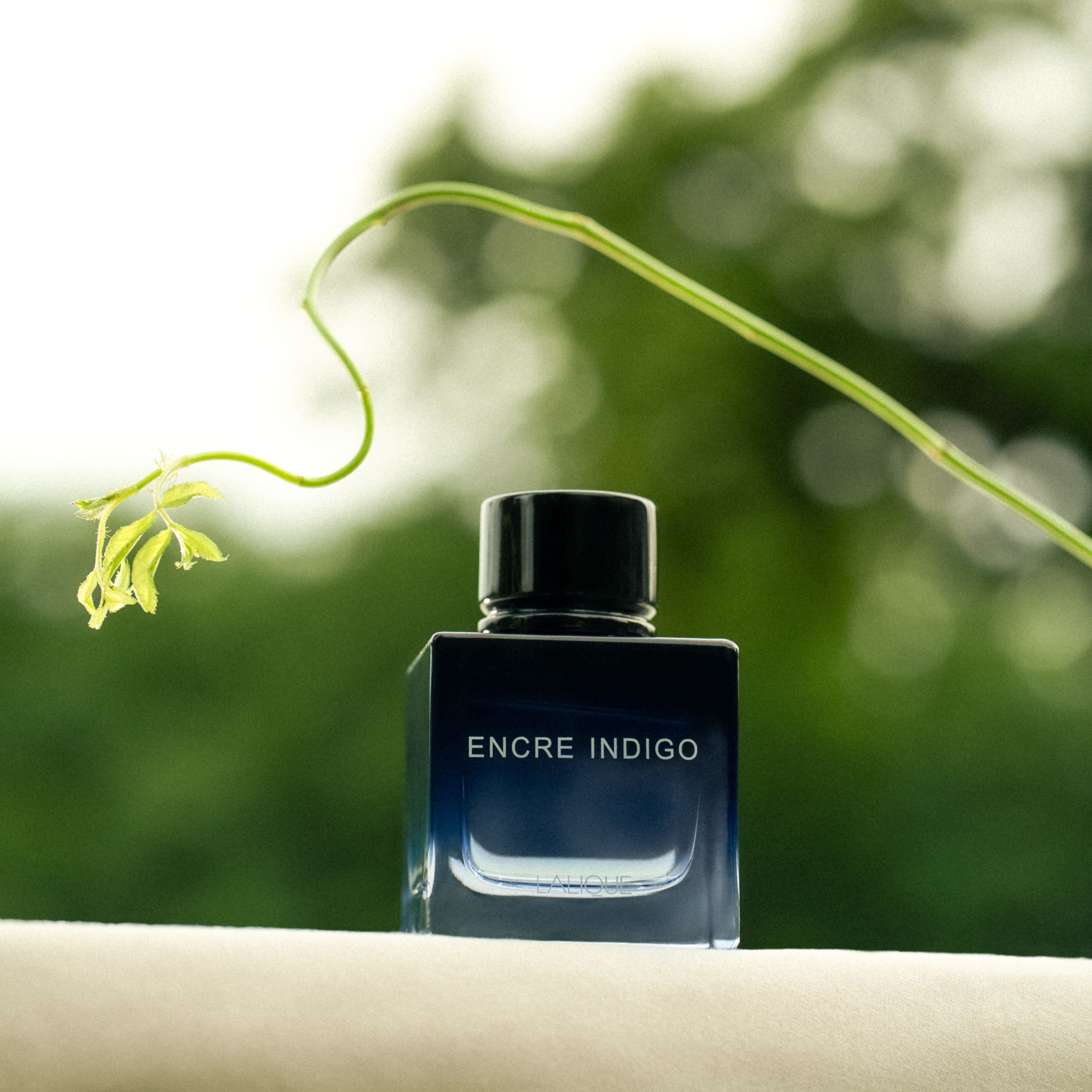 ラリック　アンクル　インディゴ Encre Indigo, Eau de Parfum – Lalique North America