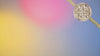 13396.mp4
